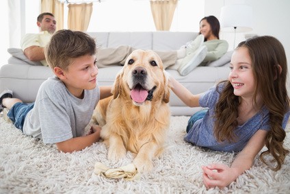 How to Remove Common Stains from Your Rugs