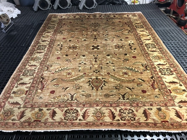 The Unseen Threat: Protecting Your Oriental Rugs from Moths and Insects